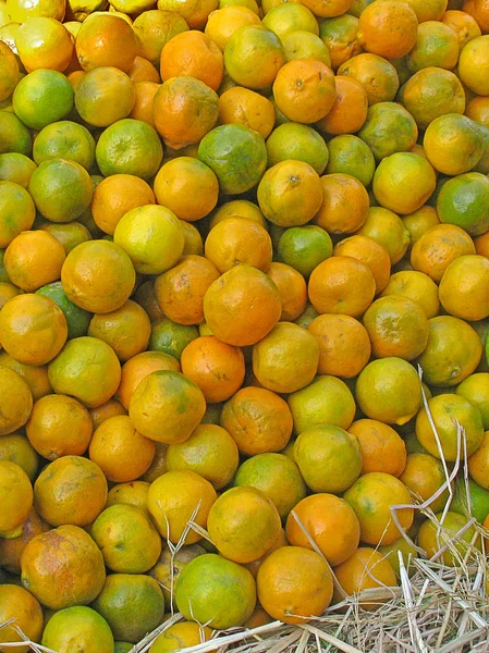 Pomarańczowe Owoce Gorzkiej Pomarańczy Sewilla Pomarańczowy — Zdjęcie stockowe