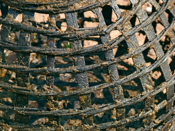 Coop Made Bamboo Strips Hen — Stock Photo, Image