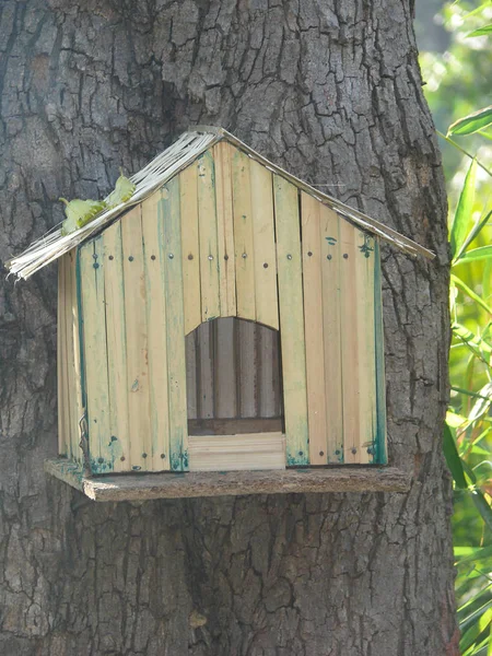 Vogelhaus Auf Einem Baum — Stockfoto