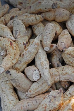 Beyaz tatlı patates satmak için