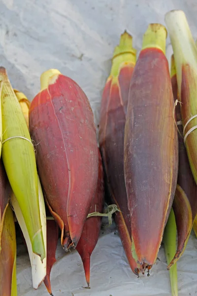 Bananenblüten, Musa x Paradisiaca auf dem Markt — Stockfoto