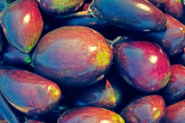 Brinjals, Egyptant, Solanum melongena — стоковое фото
