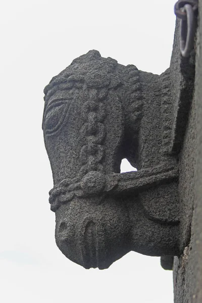 Cara de caballo en el río Bhima Ghat — Foto de Stock