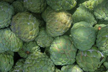 Muhallebi elması, Annona squamosa, Hindistan