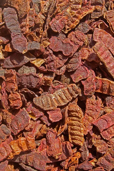 Pods of Acacia concinna, India — Stock Photo, Image