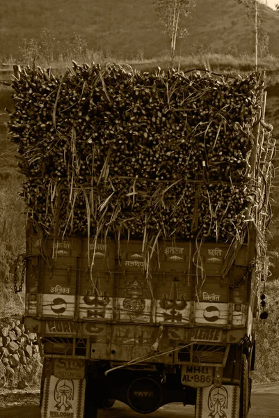 Грузовик загружен пачками сахарного тростника, Сатара, Махараштра, я — стоковое фото