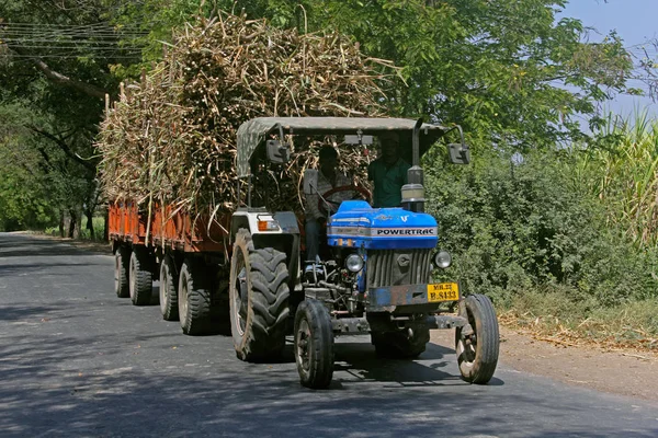 Трактор загружен пучками сахарного тростника, Сатара, Махараштра  , — стоковое фото