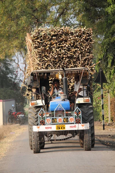 Трактор laded зі джгутами sugarcanes, Satara, Махараштра , — стокове фото