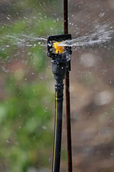 インド水用水マイクロ ジェット スプリンクラー — ストック写真
