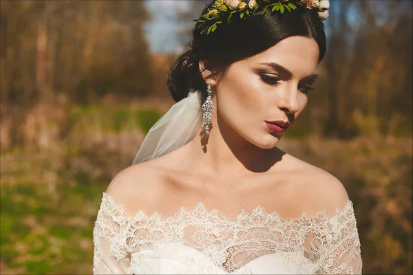 Menina modelo morena elegante e elegante com maquiagem brilhante e com penteado de casamento em vestido de renda elegante posando ao ar livre — Fotografia de Stock