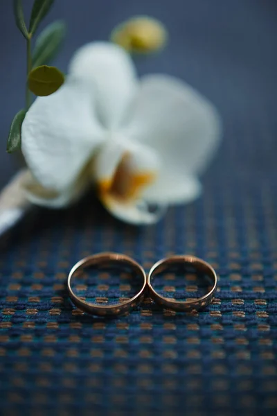 Par de anéis de casamento de ouro elegantes perto da flor exótica no tecido escuro — Fotografia de Stock