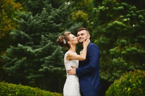 Mulher bonita com corpo perfeito e penteado de casamento em abraços de vestido de renda e beijando um homem brutal bonito no elegante terno azul ao ar livre no parque verde — Fotografia de Stock