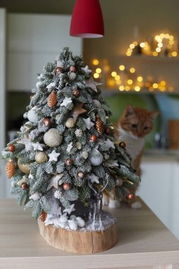 Alternatif Noel ağacı ve altında küçük gümüş geyik. Ahşap masa üzerinde yapay kar ile köknar dalları yapılmış küçük ev yapımı Noel ağacı. Tatil için yılbaşı dekorasyon konsepti