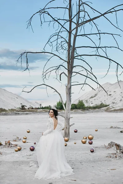 Linda noiva modelo jovem em um vestido de noiva na moda posando no deserto salino em um dia de verão — Fotografia de Stock