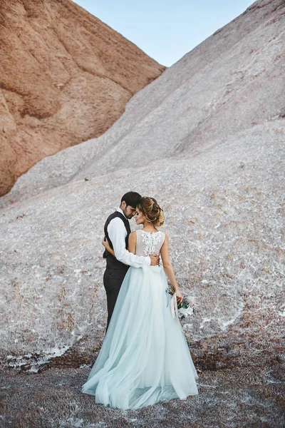 Elegante coppia di nozze, una giovane sposa e bello sposo, in piedi insieme e abbracciare, sul bellissimo paesaggio con le montagne — Foto Stock