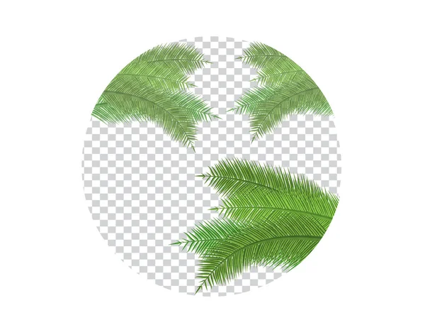 Illustration vectorielle de feuilles de palmier sur fond transparent — Image vectorielle