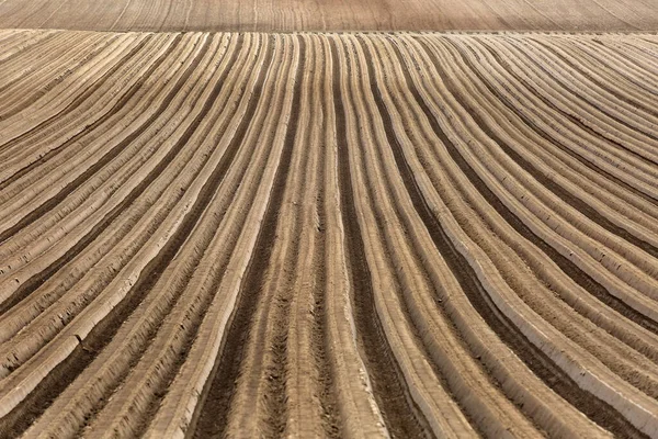 Sulcos Campo Arado Primavera — Fotografia de Stock