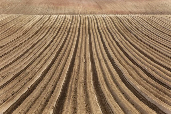 Furrows Plowed Field Spring — Stock Photo, Image