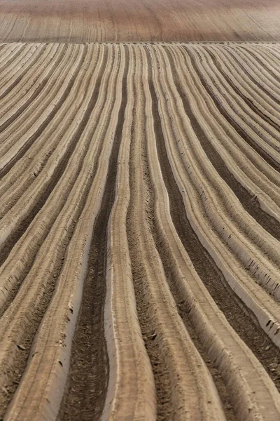 Groeven Geploegd Veld Het Voorjaar — Stockfoto