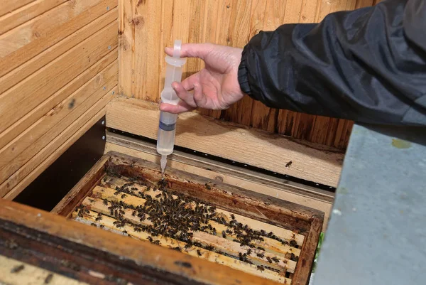 Winterbehandlung Eines Bienenstocks — Stockfoto