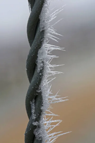 Cristal Gelo Macro Close — Fotografia de Stock