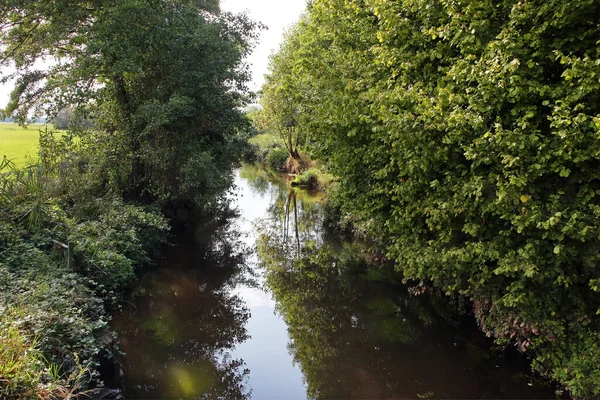 Queich Natura Podniebienie — Zdjęcie stockowe