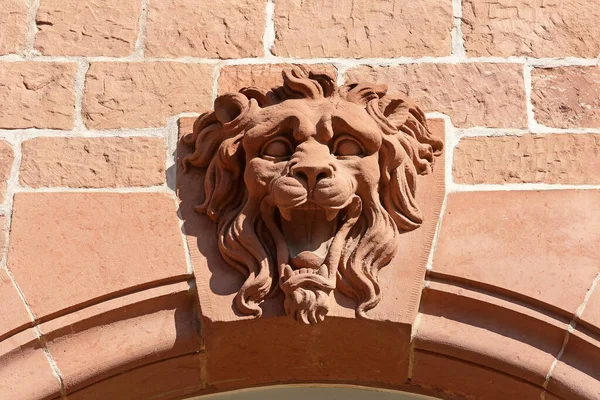 Tête Lion Pierre — Photo