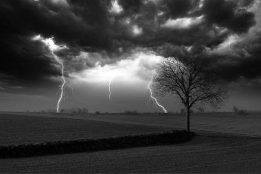 Siyah ve beyaz gök gürültülü fırtına