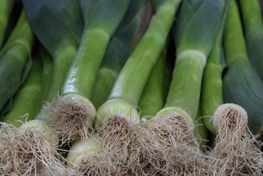 Taze pırasa, pırasa, yakın plan