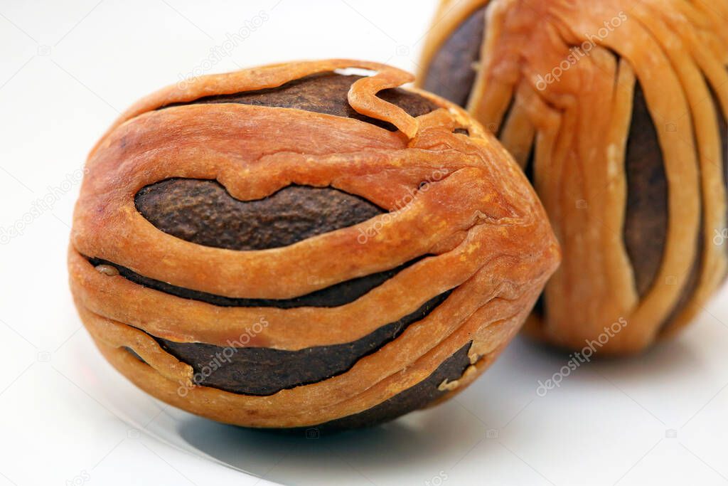 Nutmeg in the seed coat