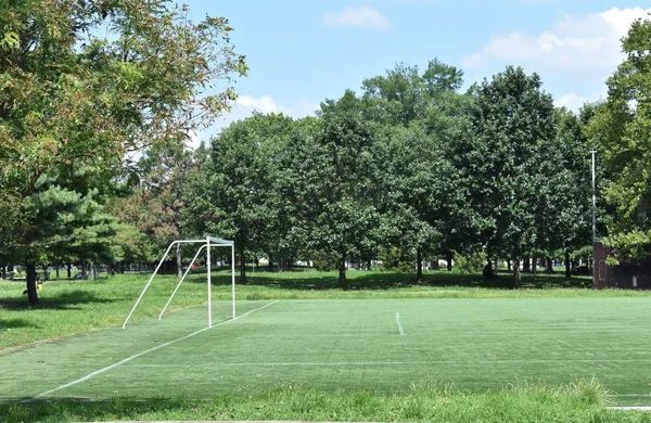 boş bir futbol sahası, gol ile, bir parkta