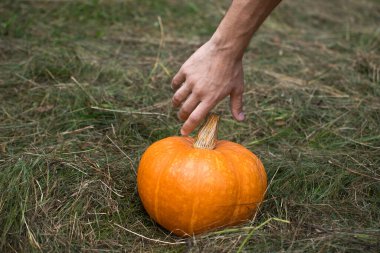 Kot ceketli genç bir adam cadılar bayramı için ormanda bir portakal kabağı tutuyor.