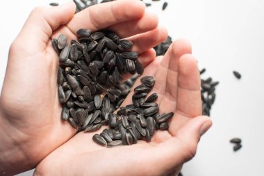 ayçiçeği tohumlarının arka planı. Metin için boşluk