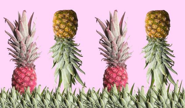 Gequatsche Helle Ananas Auf Weißem Hintergrund Minimalistischer Stil Draufsicht Isoliert — Stockfoto