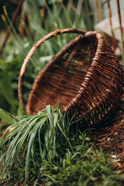 Branches Wicker Basket Handle Grass — Stock Photo, Image