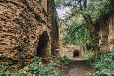 Eski fort tuğla müstahkem kale savaşları ve doğa tarafından yok bina