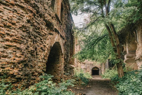 Eski fort tuğla müstahkem kale savaşları ve doğa tarafından yok bina