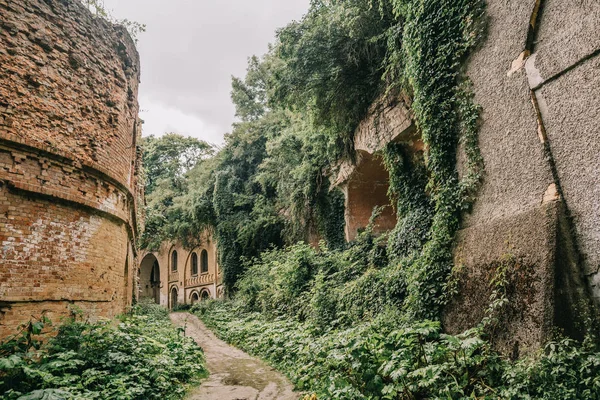 Eski fort tuğla müstahkem kale savaşları ve doğa tarafından yok bina