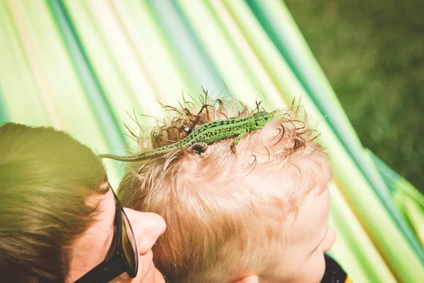 緑のトカゲは 子供の頭の上少しゾッと — ストック写真