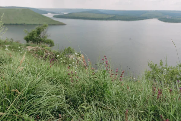 kayalar ve kanyonlar ve çiy ile şafak yeşil bitki örtüsü dolambaçlı bir kanal ile manzara