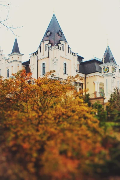 Tree Yellow Leaves Building Background Beautiful Domes — Stock Photo, Image