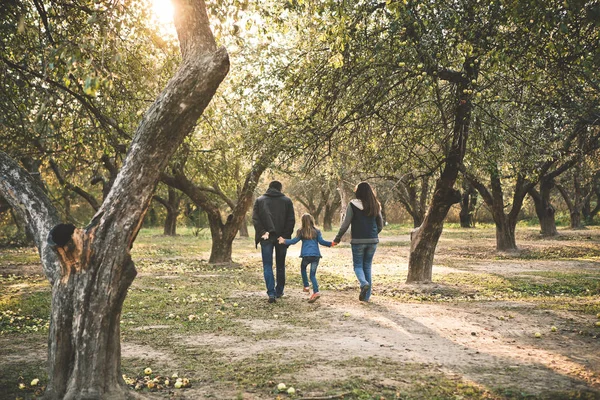 Familj Med Ett Barn Som Går Trädgård Höst Bakgrundsbelysning Med — Stockfoto