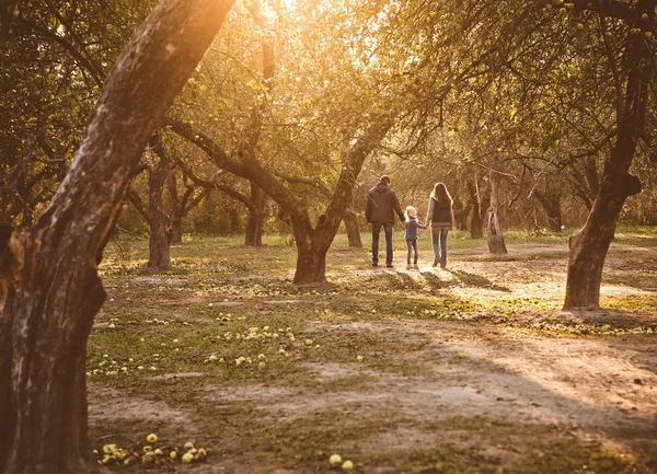 Famille Avec Enfant Marchant Dans Jardin Automne Sur Rétroéclairage Avec — Photo