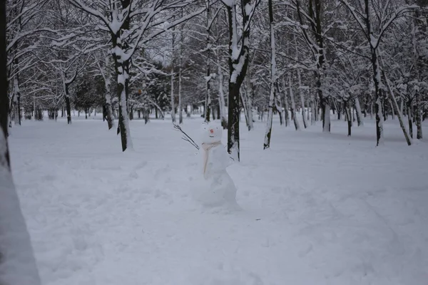 木の子供たちによって作られた公園の冬の雪だるま — ストック写真