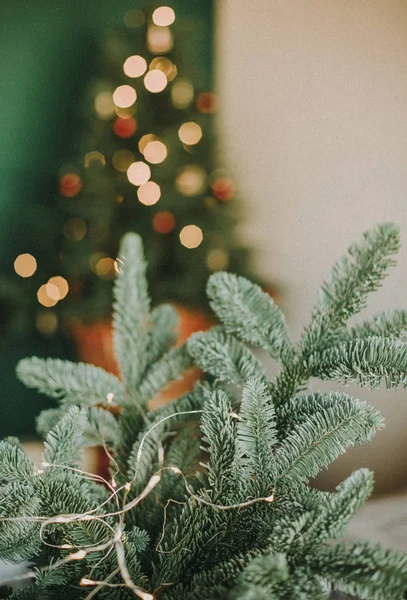 Gift Boxes Decorated Ribbons Christmas Tree New Year — Stock Photo, Image