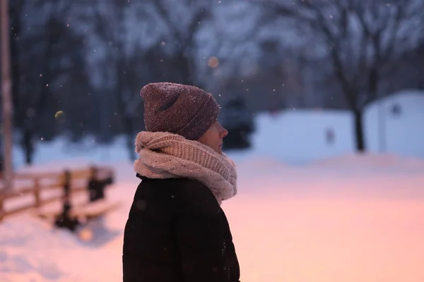Dış Sezon Kış Giysileri Ile Iskambil Kadın Kar — Stok fotoğraf