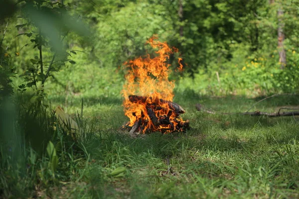 fire burns red forest gladegreen outside picnic season