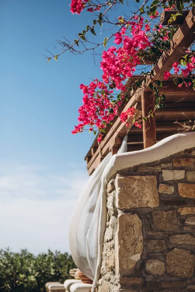 Steinhaus Meer Mit Balkon Und Garten Mit Rosa Blumen — Stockfoto
