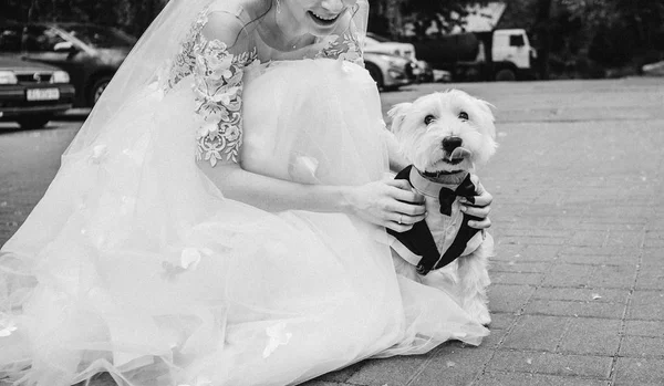 Bruid Een Jurk Buiten Zit Met Een Kleine Witte Hond — Stockfoto