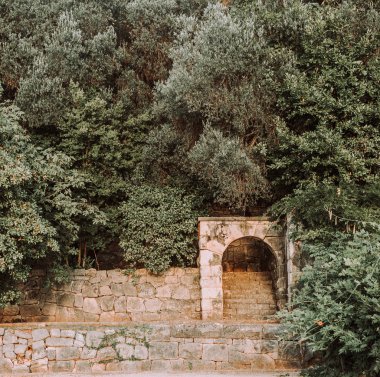 Tasarım ve dekor bitki örtüsü manzara duvar ve taş binalar